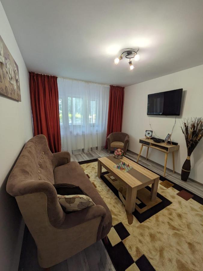 Apartamentul Alfa Slanic Moldova Exterior photo