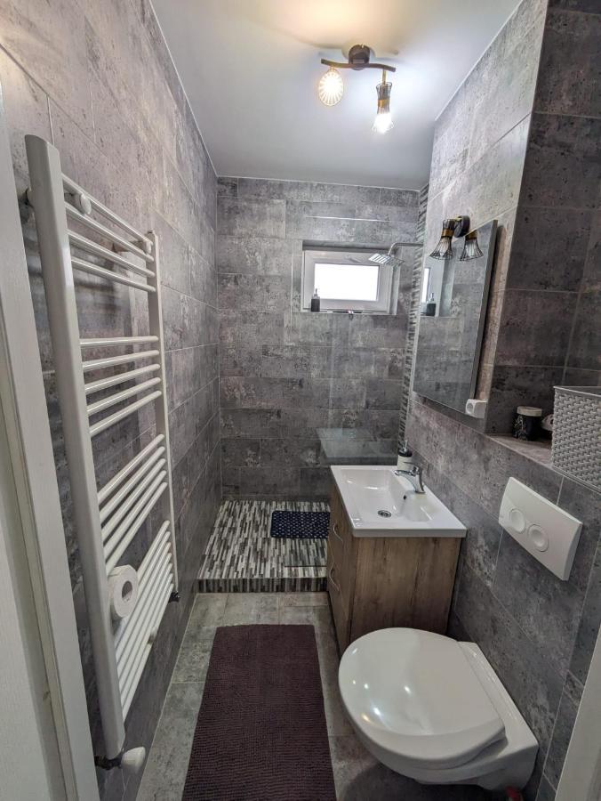 Apartamentul Alfa Slanic Moldova Exterior photo