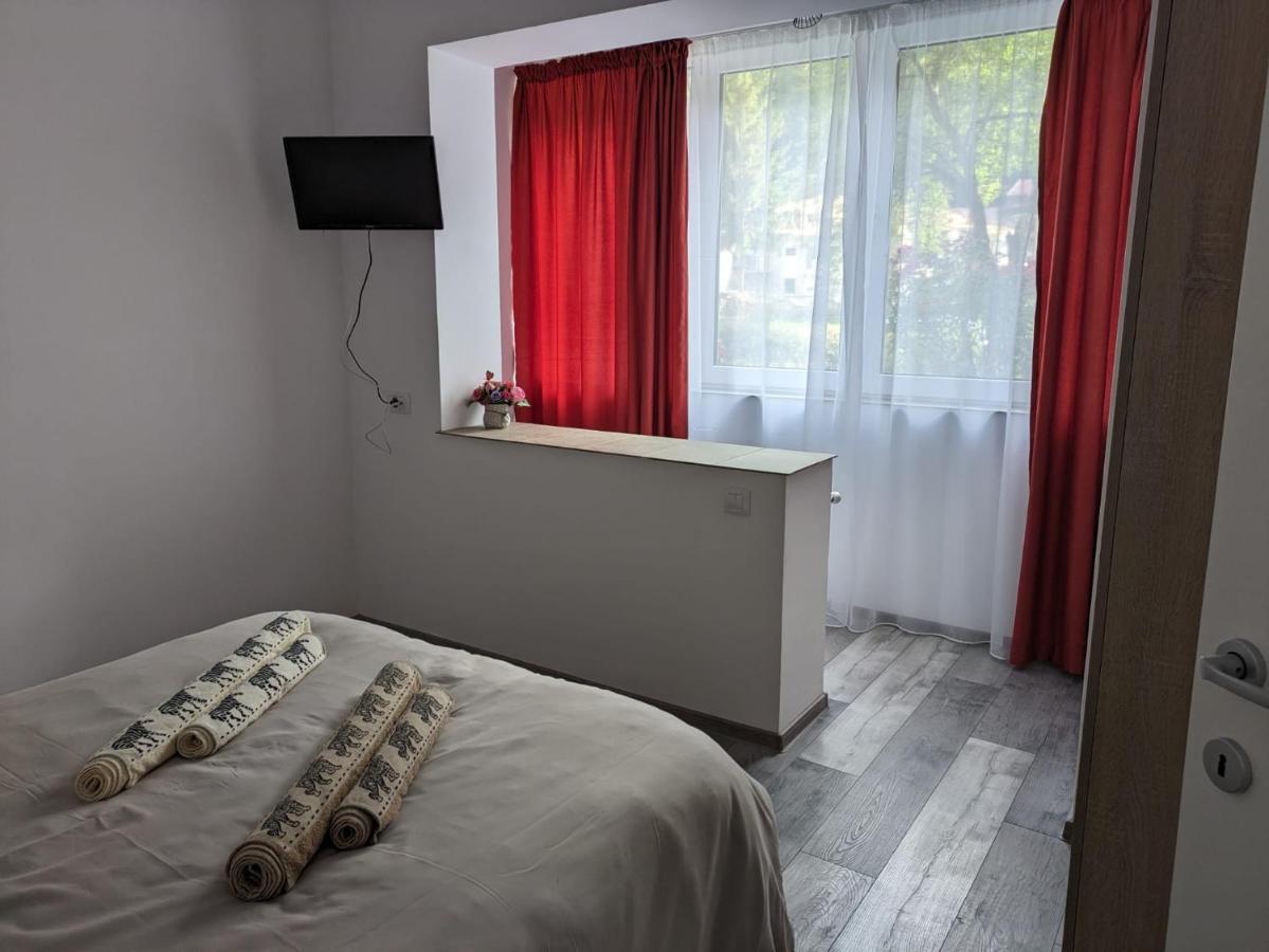 Apartamentul Alfa Slanic Moldova Exterior photo